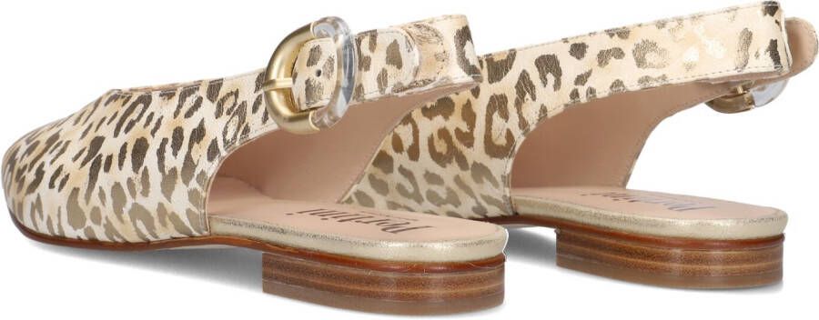 PERTINI Gouden Hakken 34490