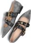 Pinko Grijze Ballerina Schoenen voor Dames Gray Dames - Thumbnail 4