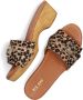 Red-Rag Dames Slippers 79608-059 Leopard Multi - Thumbnail 8