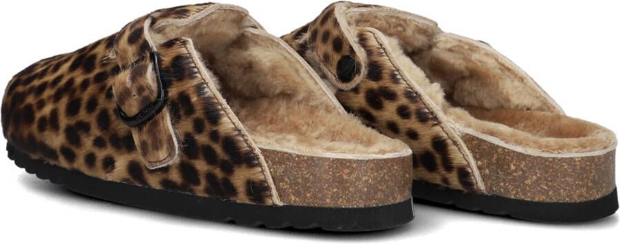 SCHOLL Bruine Instappers Fae New