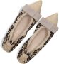 STEFANO LAURAN Ballerina Dames Ivonne Maat: 41 Materiaal: Suède Kleur: Beige - Thumbnail 5