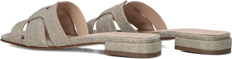 STEFANO LAURAN Gouden Slippers 24050