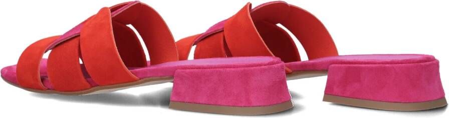 STEFANO LAURAN Paarse Slippers Karin