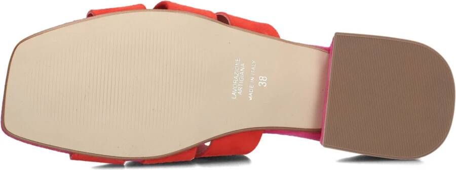 STEFANO LAURAN Paarse Slippers Karin