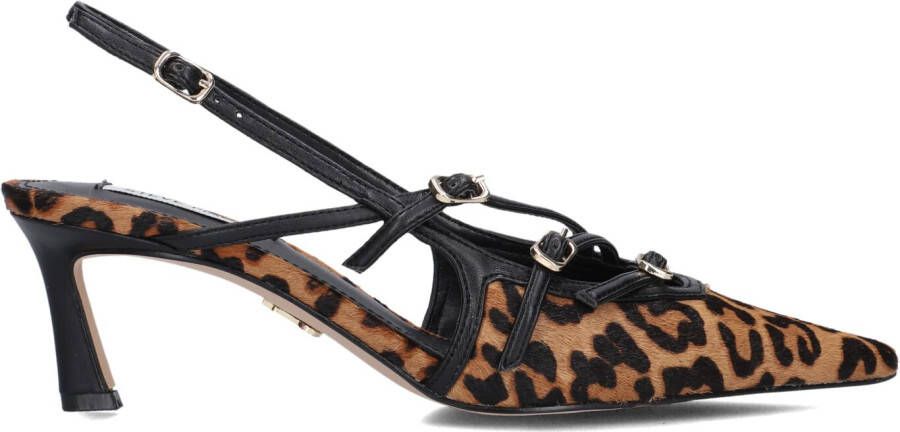 STEVE MADDEN Bruine Hakken Liana-l