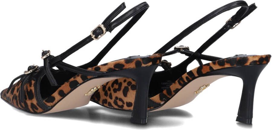 STEVE MADDEN Bruine Hakken Liana-l