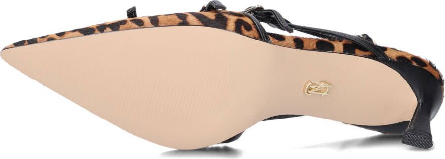 STEVE MADDEN Bruine Hakken Liana-l