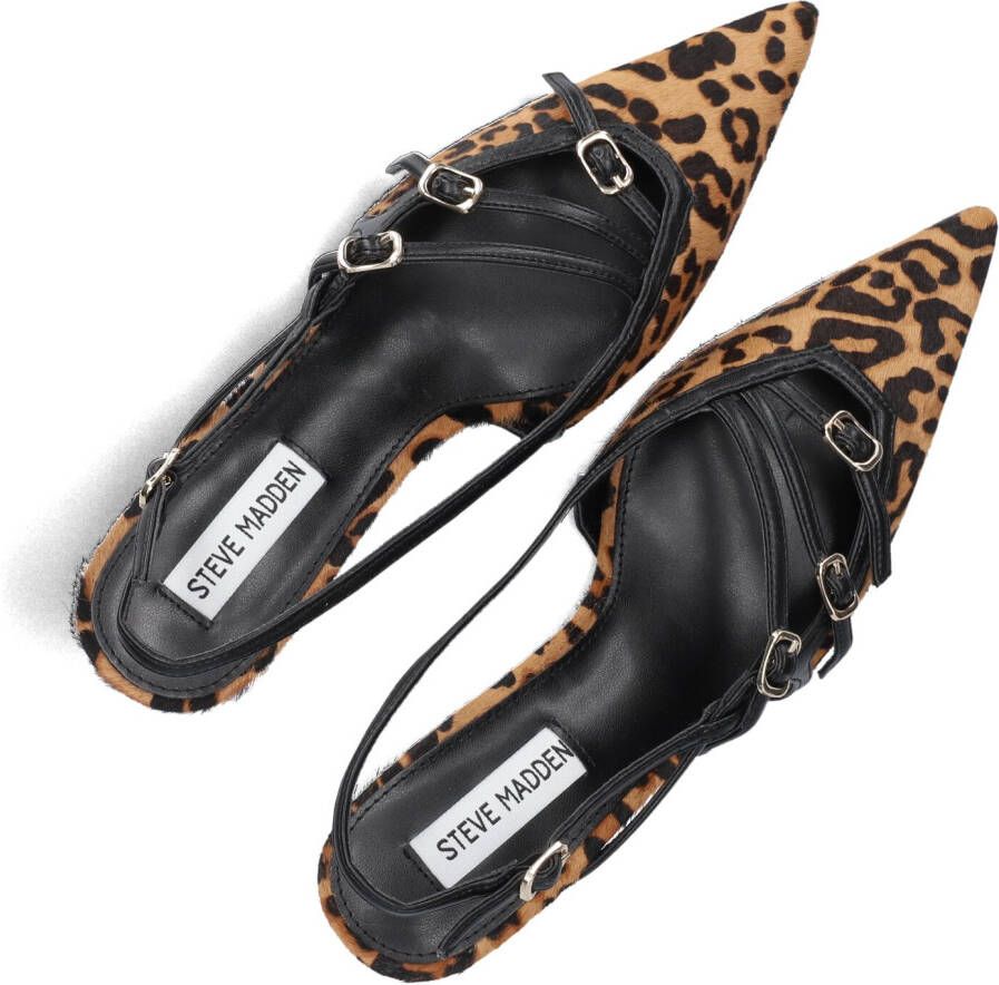 STEVE MADDEN Bruine Hakken Liana-l