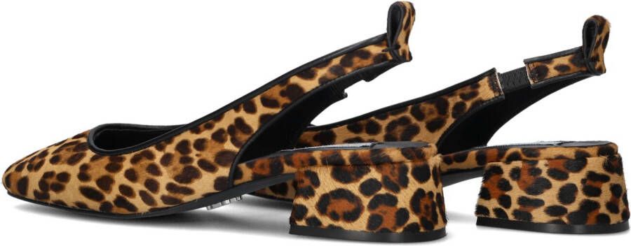 STEVE MADDEN Bruine Schoenen Smitten-lp