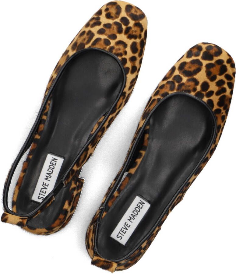 STEVE MADDEN Bruine Schoenen Smitten-lp