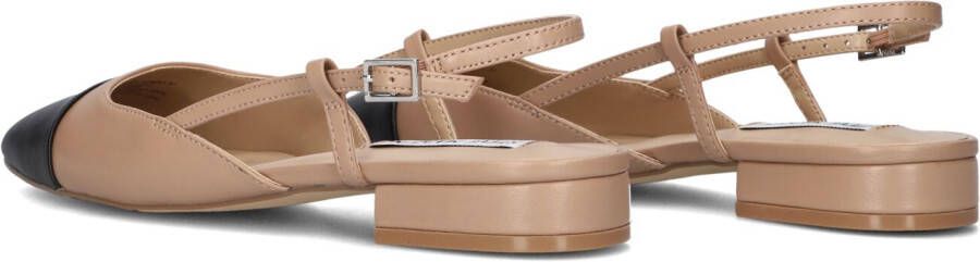 STEVE MADDEN Bruine Schoenen Belinda