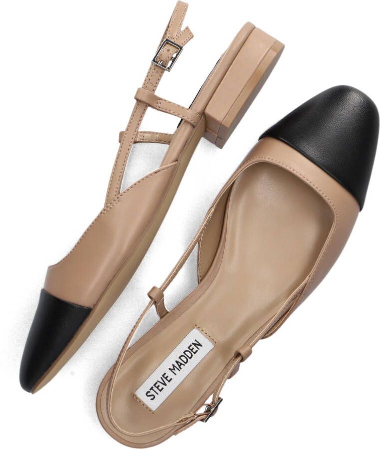 STEVE MADDEN Bruine Schoenen Belinda