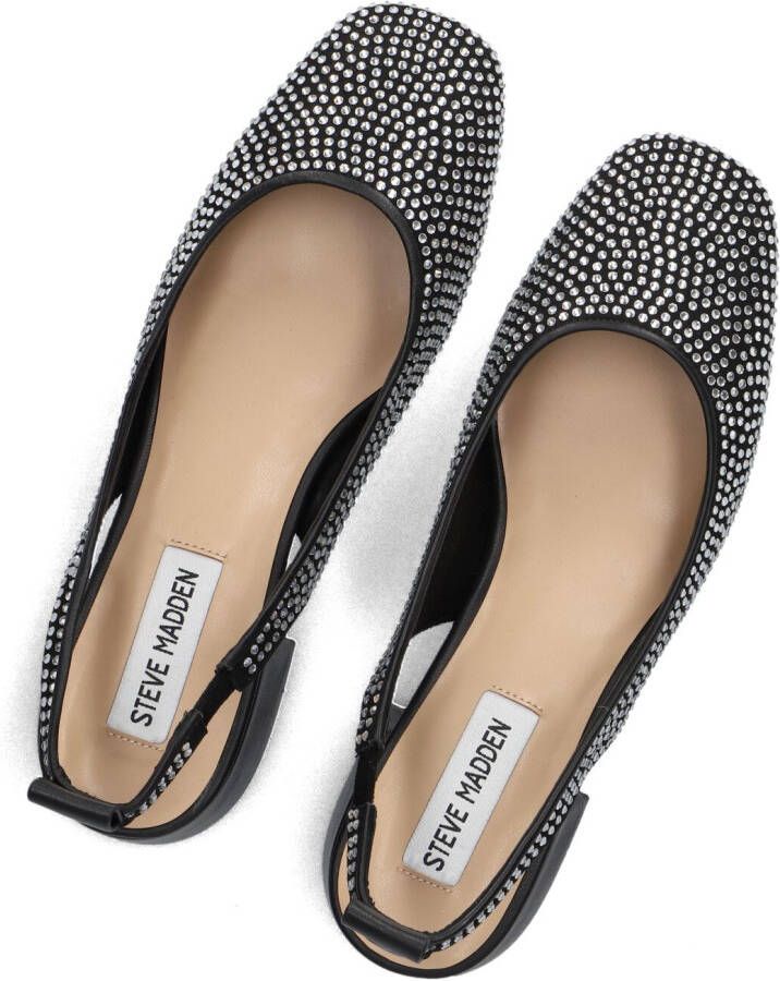 STEVE MADDEN Zwarte Schoenen Smitten