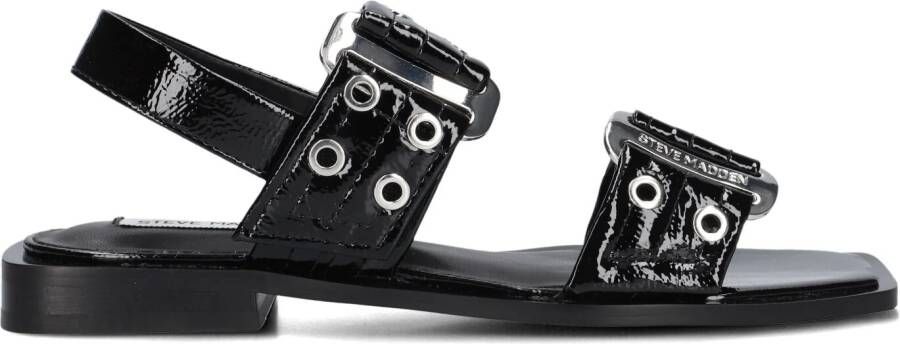 STEVE MADDEN Zwarte Sandalen Saria-e