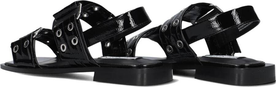 STEVE MADDEN Zwarte Sandalen Saria-e