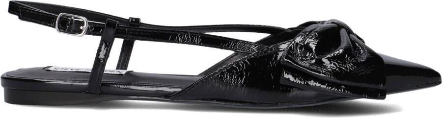 STEVE MADDEN Zwarte Schoenen Dazzled