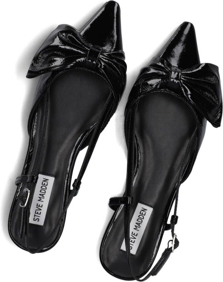 STEVE MADDEN Zwarte Schoenen Dazzled