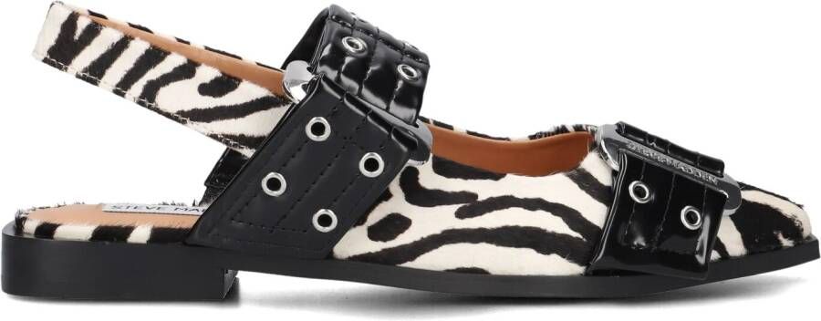 STEVE MADDEN Zwarte Schoenen Grand Ave-l
