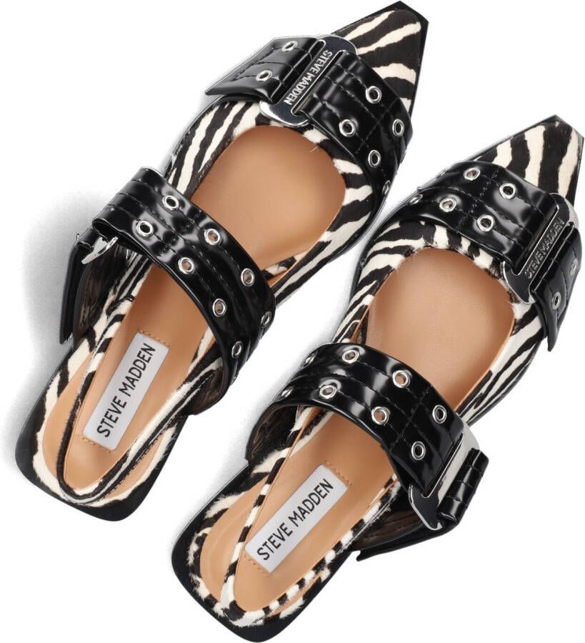 STEVE MADDEN Zwarte Schoenen Grand Ave-l