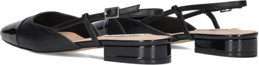 STEVE MADDEN Zwarte Slingbacks Belinda