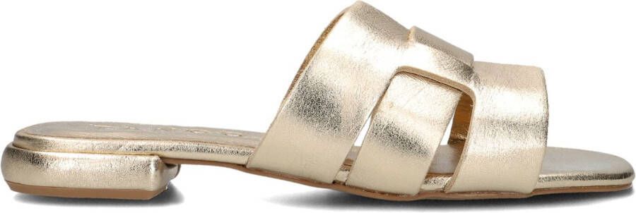 TANGO Gouden Slippers Tyrsa 1
