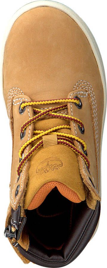 Timberland Camel Hoge Sneaker Davis Square 6 Inch Kids