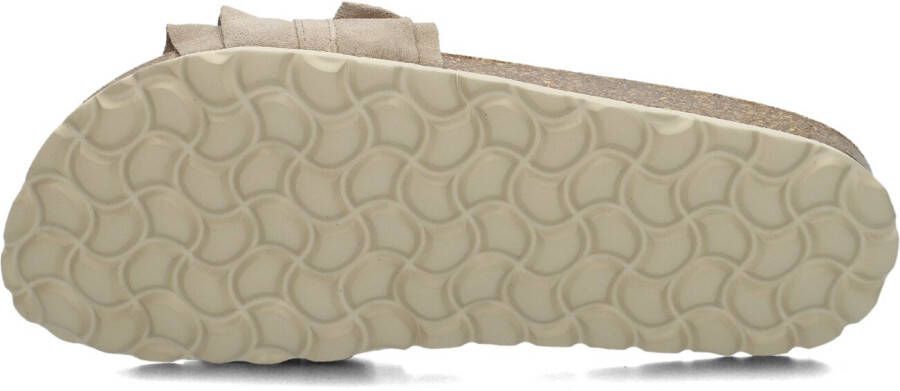 VERBENAS Bruine Slippers Rocio