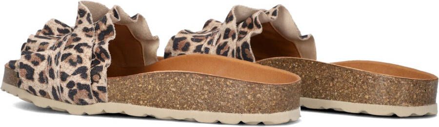 VERBENAS Bruine Slippers Rocio