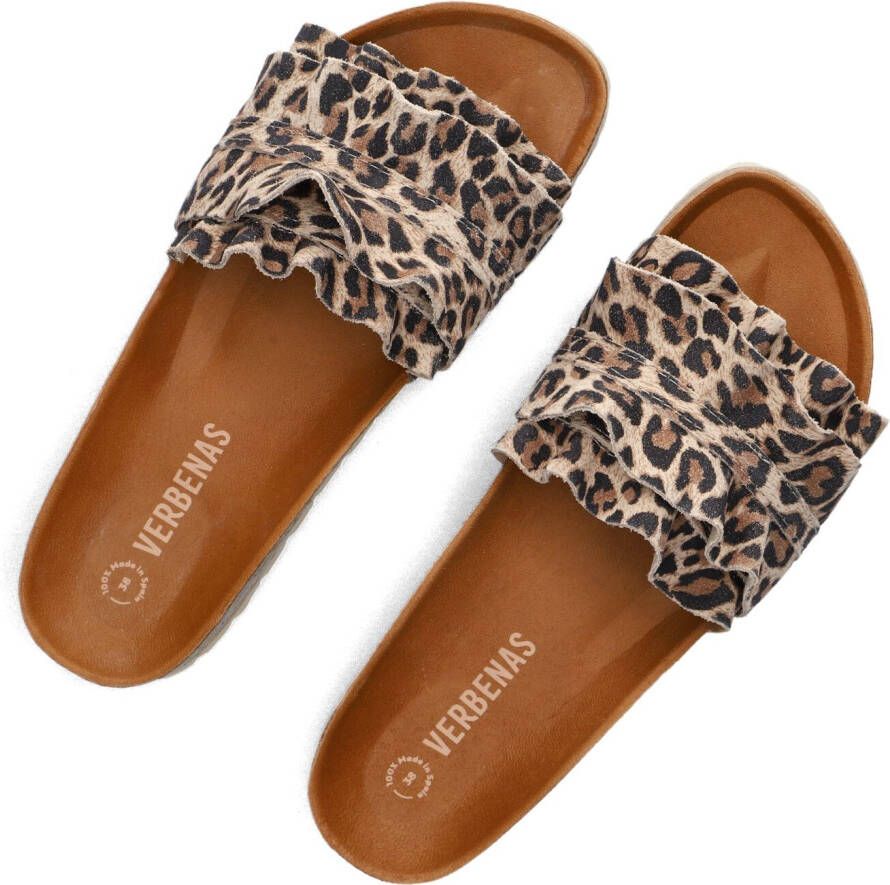 VERBENAS Bruine Slippers Rocio