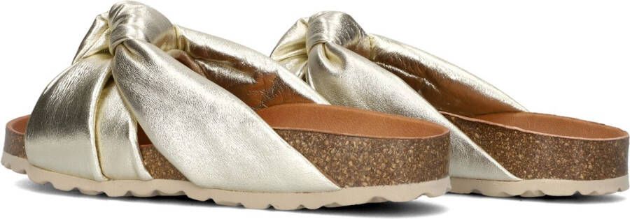 VERBENAS Gouden Slippers Rainbow