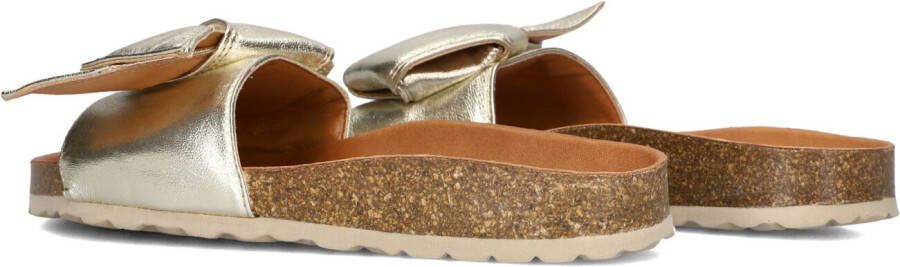 VERBENAS Gouden Slippers Rani