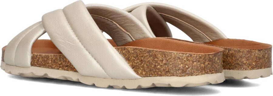 VERBENAS Gouden Slippers Riot