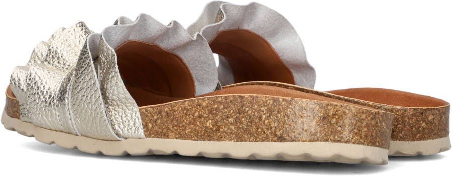 VERBENAS Gouden Slippers Rocio