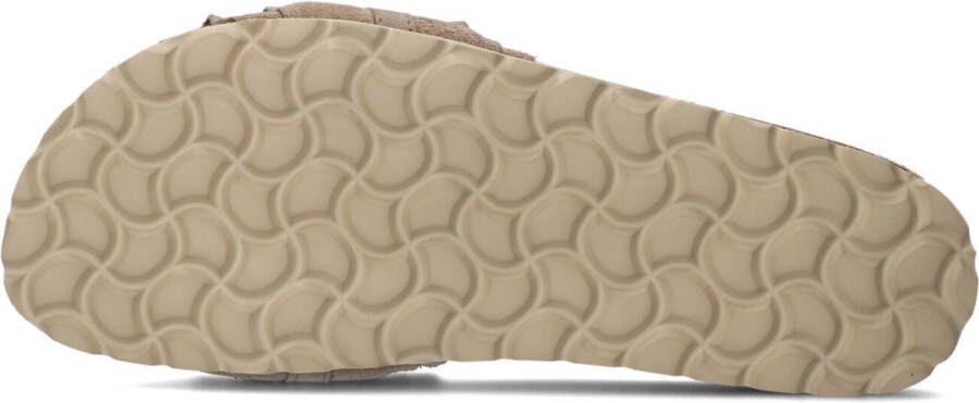 VERBENAS Bruine Slippers Rocio