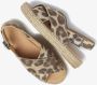 VIA VAI Dames Mondi Isabella Maat: 36 Materiaal: Leer Kleur: Beige - Thumbnail 5