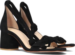 Fabienne Chapot Bowie Sandal Sandalen Dames Zwart