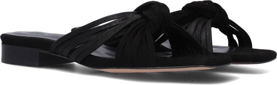 Fabienne Chapot Zwarte Sandaal voor Zomerse Dagen Black Dames