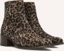 FLORIS VAN BOMMEL Enkellaarsjes Dames Sfw-50065 Evi Maat: 41 Materiaal: Suède Kleur: Bruin - Thumbnail 1