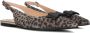 FLORIS VAN BOMMEL Slingbacks Dames Sfw-40050 Maat: 40 Materiaal: Suède Kleur: Bruin - Thumbnail 1