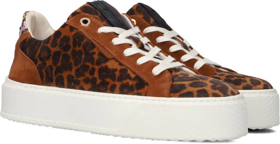 Floris Van Bommel Cognac Lage Sneakers Sfw-10105