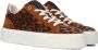 Floris van Bommel SFW-10106-23-01~~~~~~~~~~~~~~~ Lage sneakersDames sneakers Bruin - Thumbnail 1