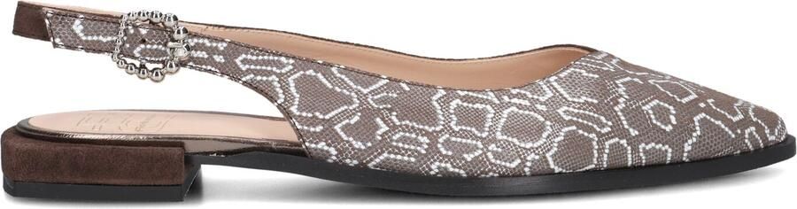 FLORIS VAN BOMMEL Slingbacks Dames Sfw-40055 Gynni Maat: 40 Materiaal: Textiel Kleur: Taupe - Foto 5