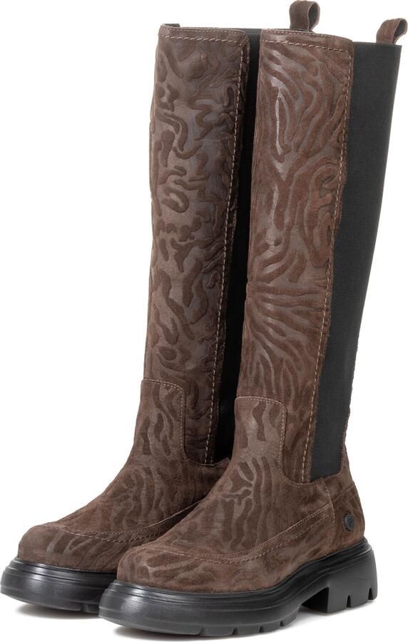 FLORIS VAN BOMMEL Laarzen Dames Sfw-80060 Bayli Bruin
