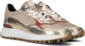 Floris van Floris van Bommel van Floris van Bommel Sneakers Dames Lage sneakers Damesschoenen Canvas SFW-10072 met Goud