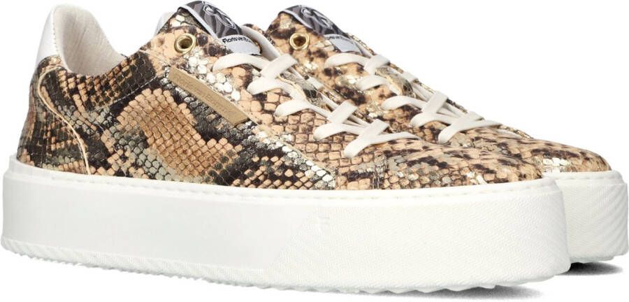 Floris van Floris van Bommel van Floris van Bommel Sneakers Dames Lage sneakers Damesschoenen Leer SFW-10106 print Slangenprint Goud