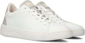 Floris van Bommel SFW-10063-60-02 Volwassenen Lage sneakers Wit beige