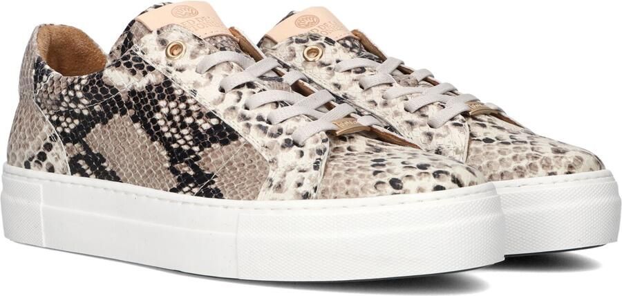 FRED DE LA BRETONIERE Lage Sneakers Dames Storm Isa Leer Creme - Foto 2
