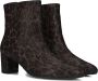 GABOR Enkellaarsjes Dames 701 Maat: 35 Materiaal: Leer Kleur: Bruin - Thumbnail 1