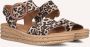 GABOR Dames 550.2 Maat: 42 5 Materiaal: Suède Kleur: Bruin - Thumbnail 1