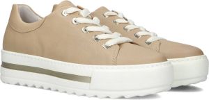 Gabor Bruin Tinten 496 Lage sneakers Leren Sneaker Dames Camel